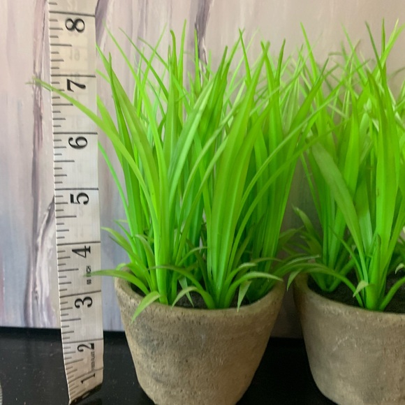 Set of Two Artificial Plants in Ceramic Pots. Grass or Lilly - Picture 8 of 8